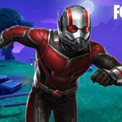 Fortnite Ant