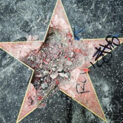 Trump’s Hollywood Walk of Fame star destroyed again