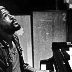 Marvin Gaye image Marvin Gaye HD wallpapers and backgrounds photos