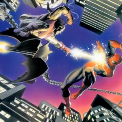 Spiderman Vs Green Goblin Alex Ross Wallpapers