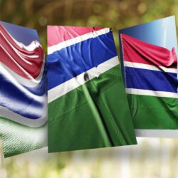 Gambia Flag Wallpapers for Android