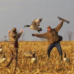 Desktop Backgrounds: Goose Hunting Wallpapers, Goose Hunting