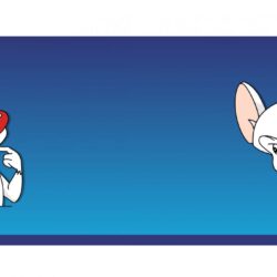 Pinky & The Brain wallpapers