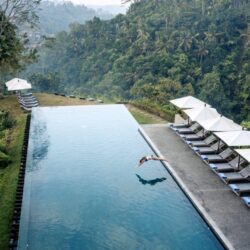 Alila Ubud Pool Bali Travel Indonesia
