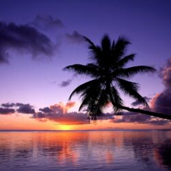 Purple Sunset in French Polynesia Wallpapers