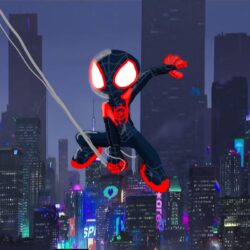SpiderMan Into The Spider Verse Movie Artwork 4k HD 4k