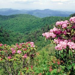 Blue Ridge Parkway wallpapers