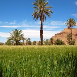 Download wallpapers Draa Valley, Morocco, landscape free desktop