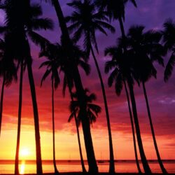 sunset beach wallpapers desktop backgrounds Desktop Backgrounds Free