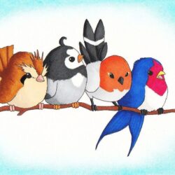 Pokemon, Birds, Original, Pidgey, Starly, Fletchling, Taillow, Bird