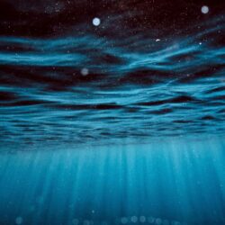 Underwater HD Wallpapers