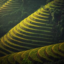 Beautiful Rice Terraces Landscape ❤ 4K HD Desktop Wallpapers for 4K