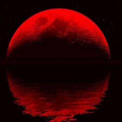 BLOOD RED MOON : Desktop and mobile wallpapers : Wallippo