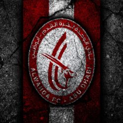 Download wallpapers 4k, Al Wahda FC, emblem, UAE League, soccer