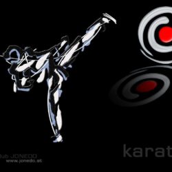 Image For > Shito Ryu Karate Wallpapers