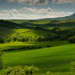 Pienza, Tuscany, Italy, spring scenery, fields, trees, morning, fog