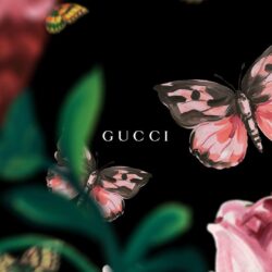 Gucci Official Site United States