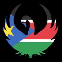 STUNNING ATTRACTIVE NEW SOUTH SUDAN FLAG HD DESKTOP BACKGROUND