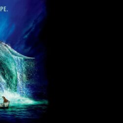 Life Of Pi Wallpapers, Pictures, Image