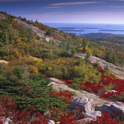 Quotes About Acadia National Park. QuotesGram