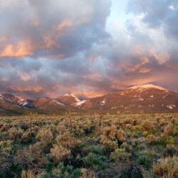 Great Basin National Park doesn’t have the same fame as