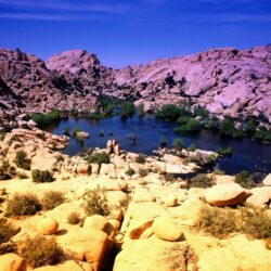 Joshua Tree National Park wallpapers