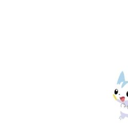 Pachirisu Backgrounds by OozyGorilla