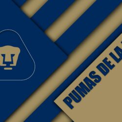Download wallpapers Pumas de la UNAM, Club Universidad Nacional, 4K