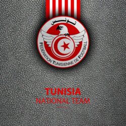 Download wallpapers Tunisia national football team, 4K, leather
