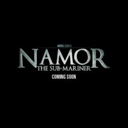 Namor Logo