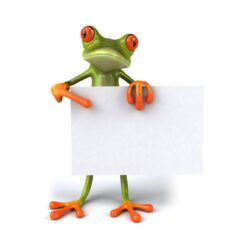 Free frog 3d wallpapers for desktop Wallpapers