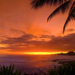 Hawaii Sunset Wallpapers