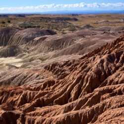 Landscape Pictures: View Image of Petrified Forest National Park