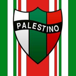 Club Deportivo Palestino S.A.D.P.