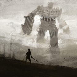 Live Shadow Of The Colossus Wallpapers