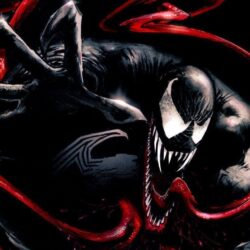 Venom Wallpapers 20127 Hd Wallpapers in Movies