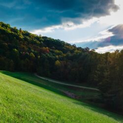 Download Field, Sunlight, Clouds, Trees, Grass, Hill