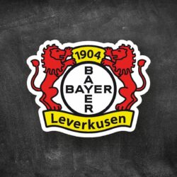 Bayer 04 Leverkusen Wallpapers 9