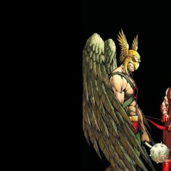 Hawkman & Red Arrow wallpaper//Michael Turner/T/ Comic Art