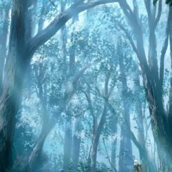 Ginko mushishi forests wallpapers