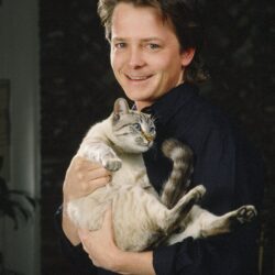Michael J. Fox Wallpapers High Quality