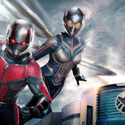 Wallpapers 4k Ant Man And The Wasp 4k 2018
