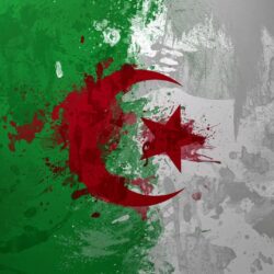 freedom flags algeria