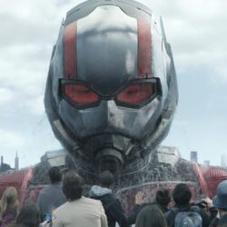Ant Man And The Wasp 2018 Movie, HD Movies, 4k Wallpapers, Image