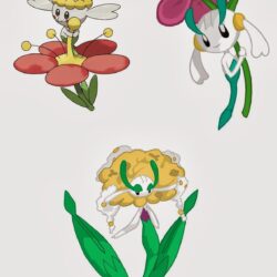 Floette Pokemon Nellevoluzione Cresce