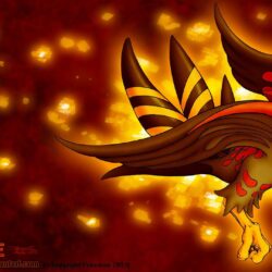 Talonflame Wallpapers