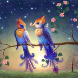 Download Picturespool Love Birds Beautiful Pictures Wallpapers