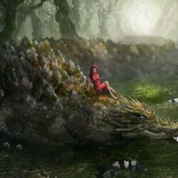 The girl on the crocodile. Android wallpapers for free