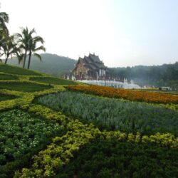 Garden in the resort of Chiang Mai, Thailand wallpapers and image