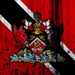 Download wallpapers Trinidad and Tobago flag, 4k, grunge, North